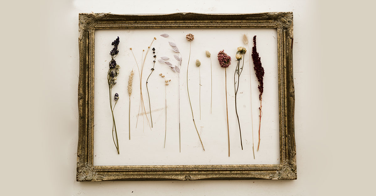 Pressed Flower Frame