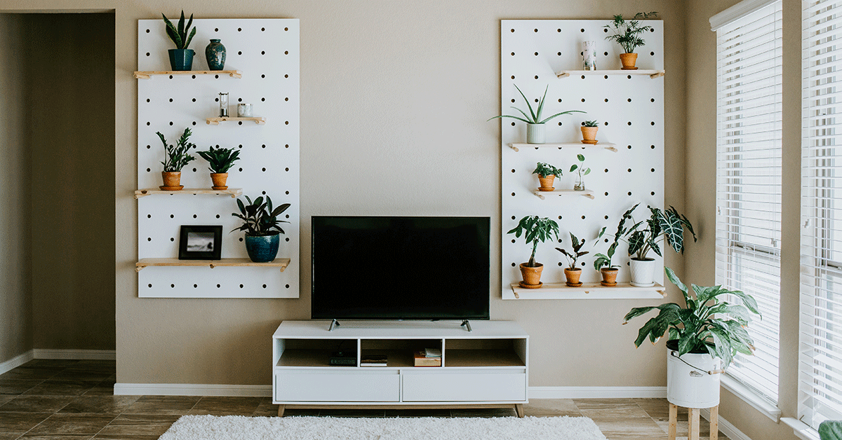 Indoor Potted Plants Home Wall