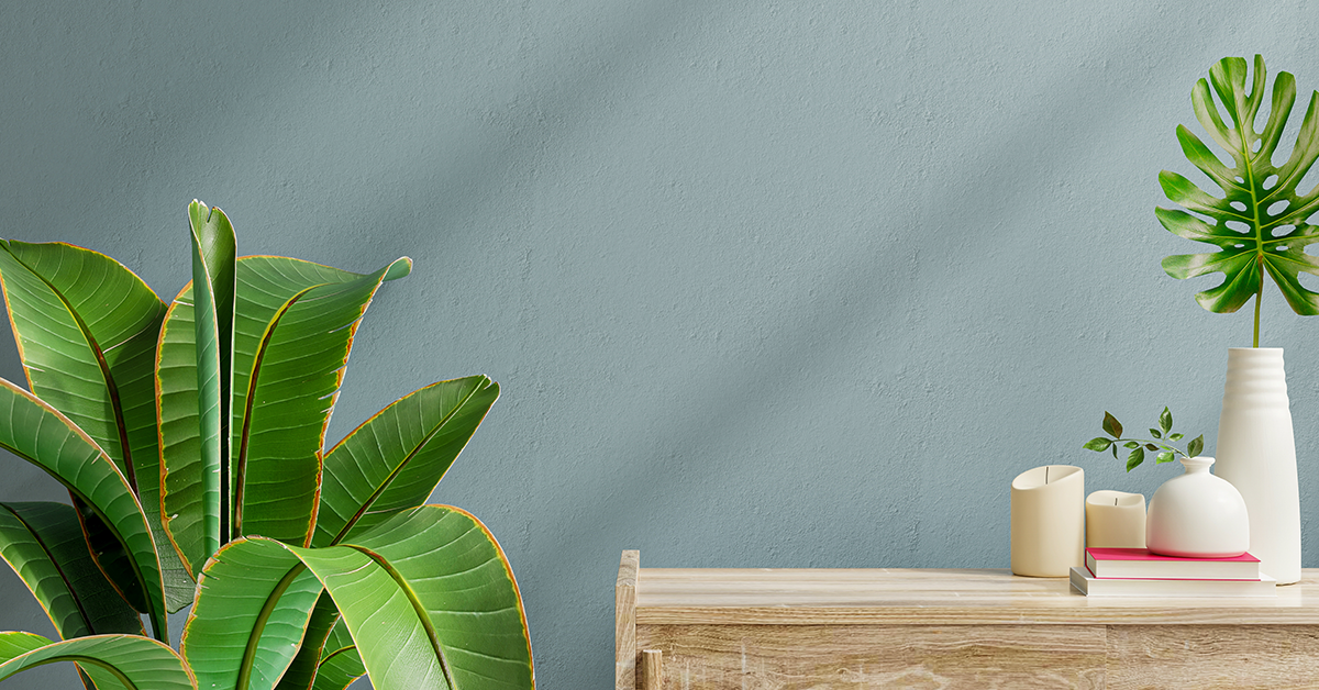 Green Plants next to a wooden table in front of a bluish grey wall