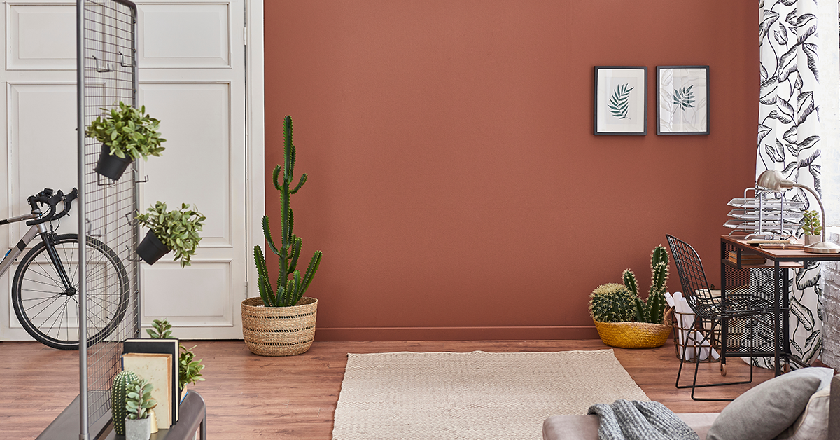 Pink living room room with cactus plants