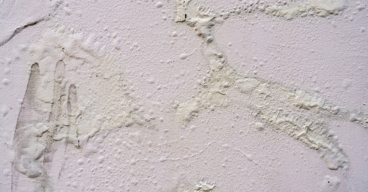 Bubbles in Wall Paint