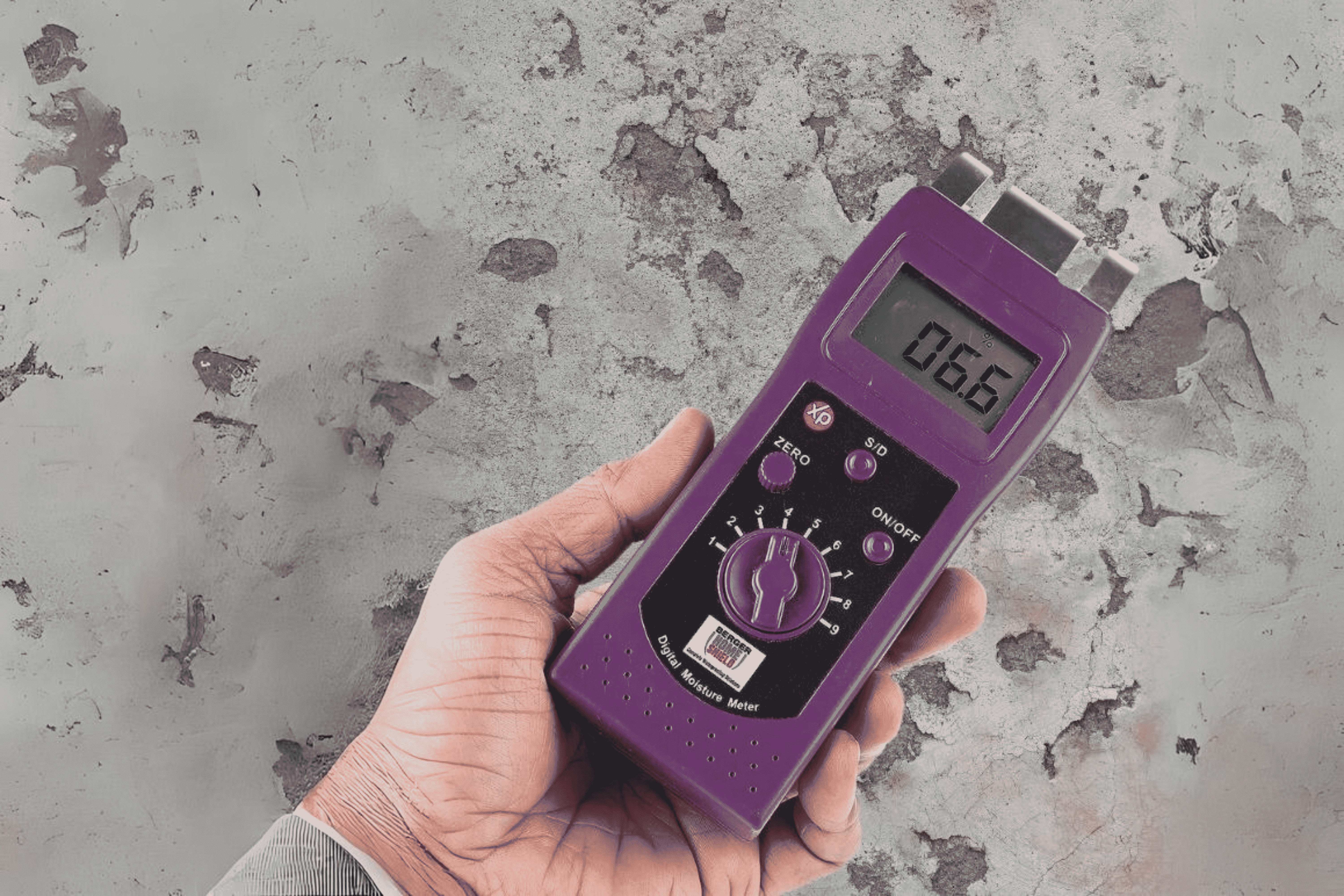 berger-moisture-meter