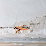 Treatment for Wall Dampness