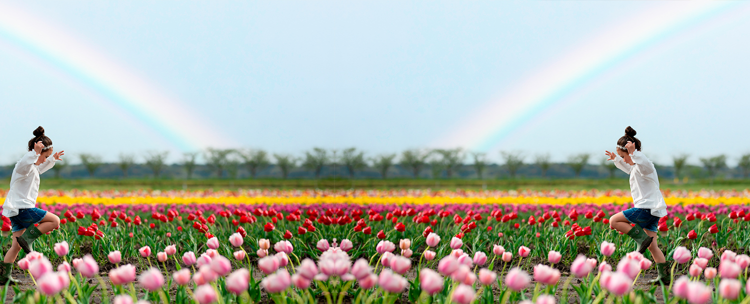 Little Girls Playing In A Field Of Tulip