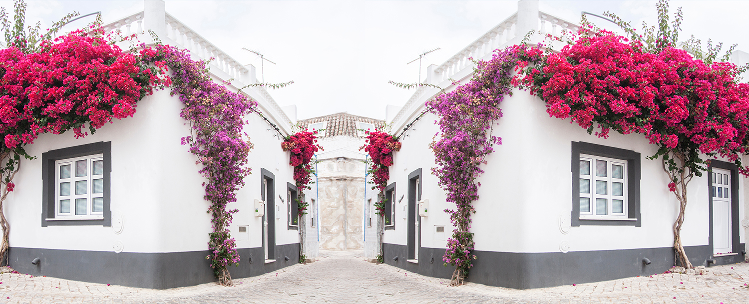 white house with flowers