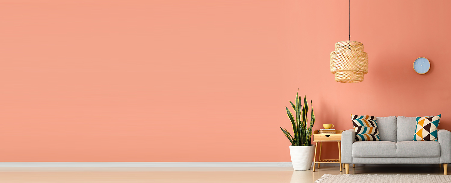 Pink wall in living room