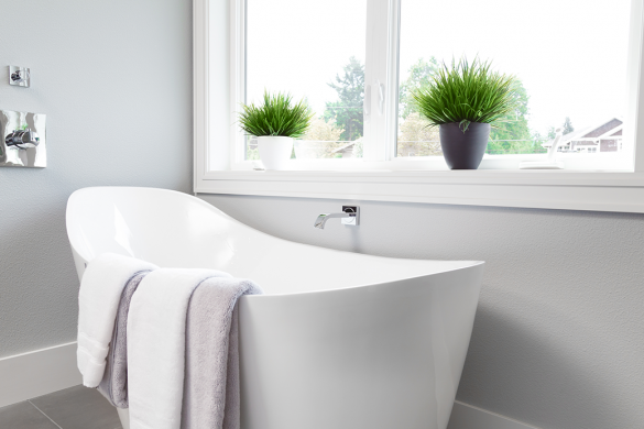 Greenery in bathroom