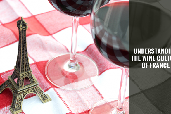 Understanding the wine culture of France