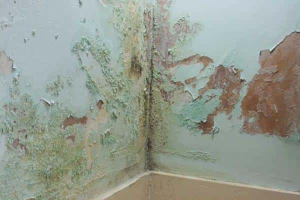 Surface Damp walls