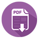 Download PDF