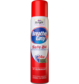 BreatheEasy Safe 24