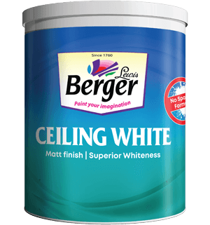 Ceiling White