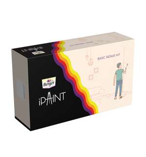 iPaint Basic Repair Kit